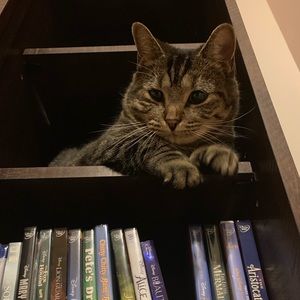 Meet your Posher, Ashley